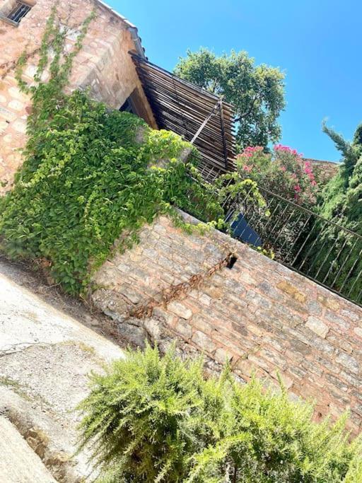 Maisonnette Mont Ventoux Holiday home