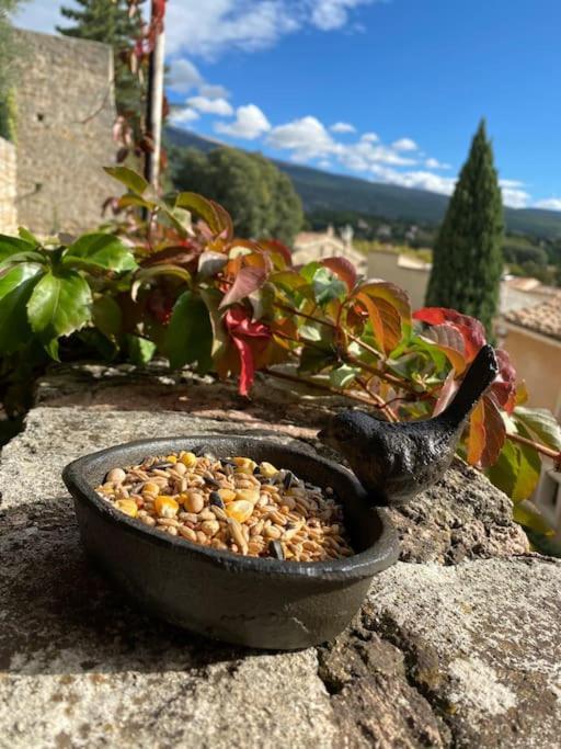 Holiday home Maisonnette Mont Ventoux Bedoin
