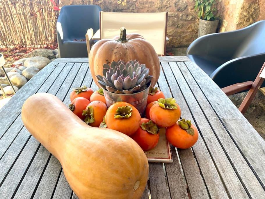 Maisonnette Mont Ventoux Holiday home *